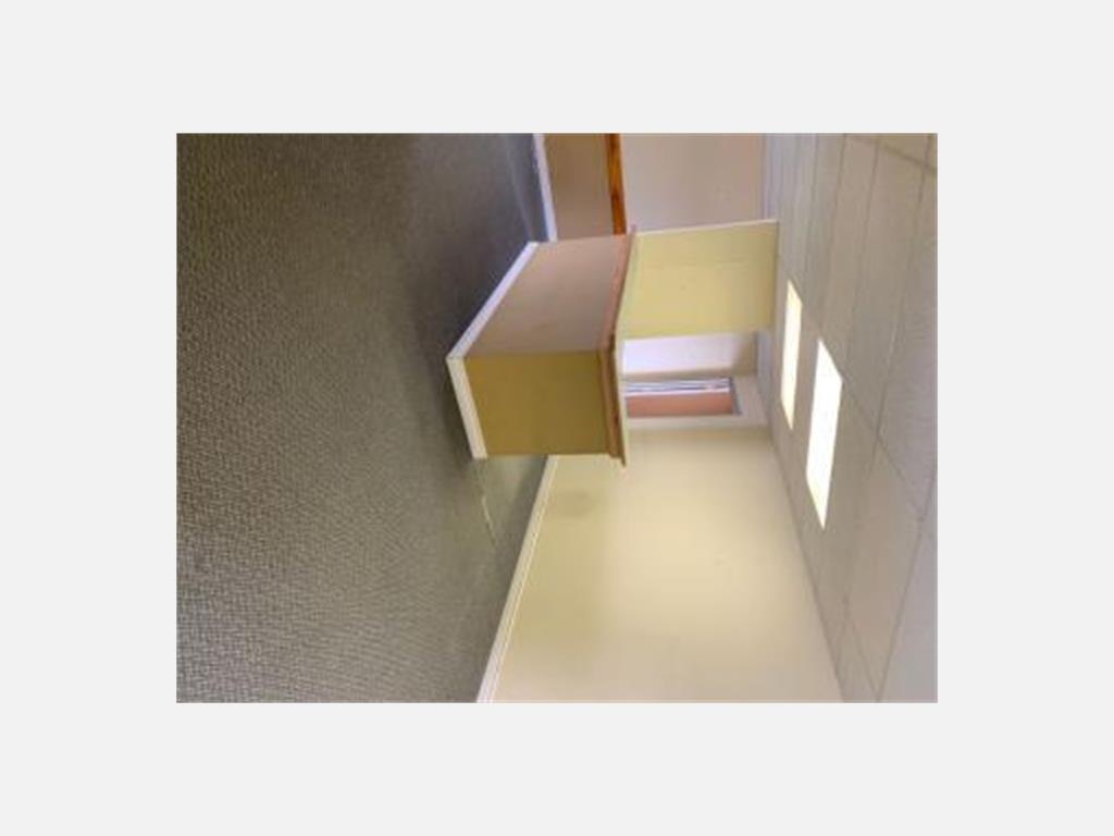 119 New Cove Road, St. John's Apartment for Rent