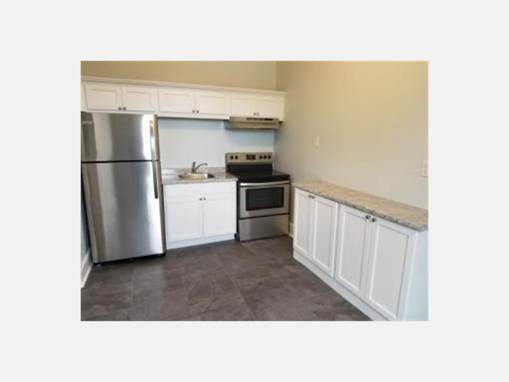 123B Hamilton Avenue, St. John's Apartment for Rent