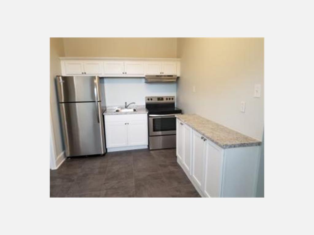 123B Hamilton Avenue, St. John's Apartment for Rent