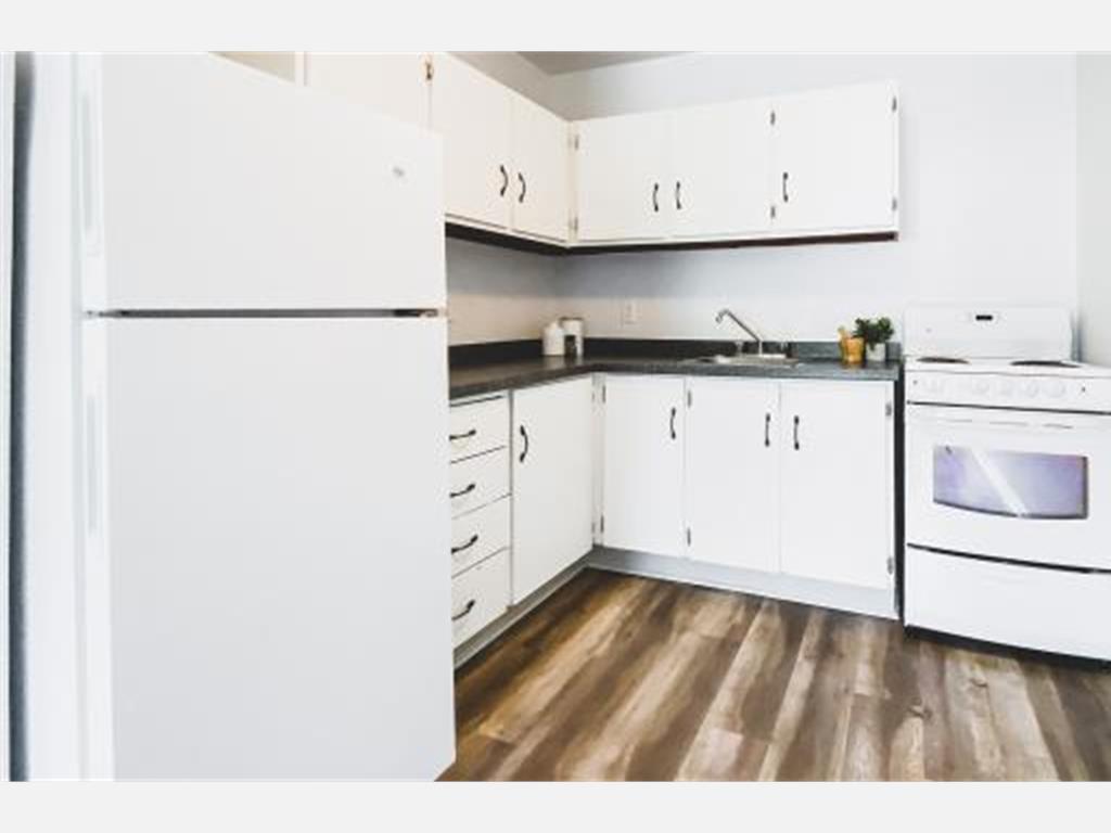 143 Forest Road, St. John's Apartment for Rent