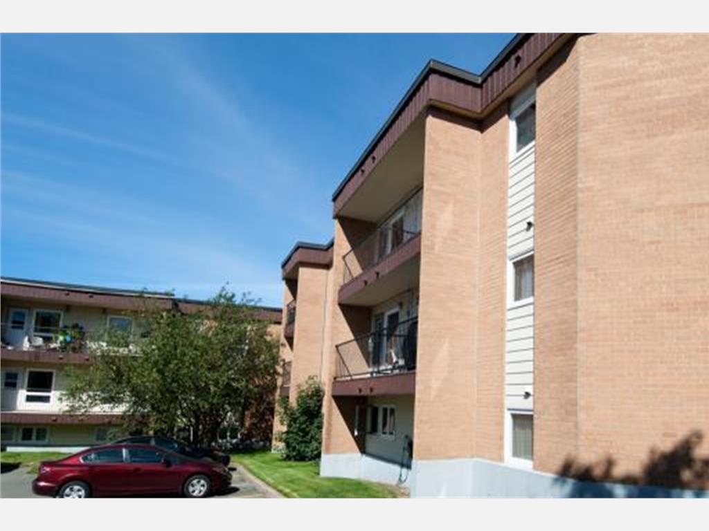 143 Forest Road, St. John's Apartment for Rent