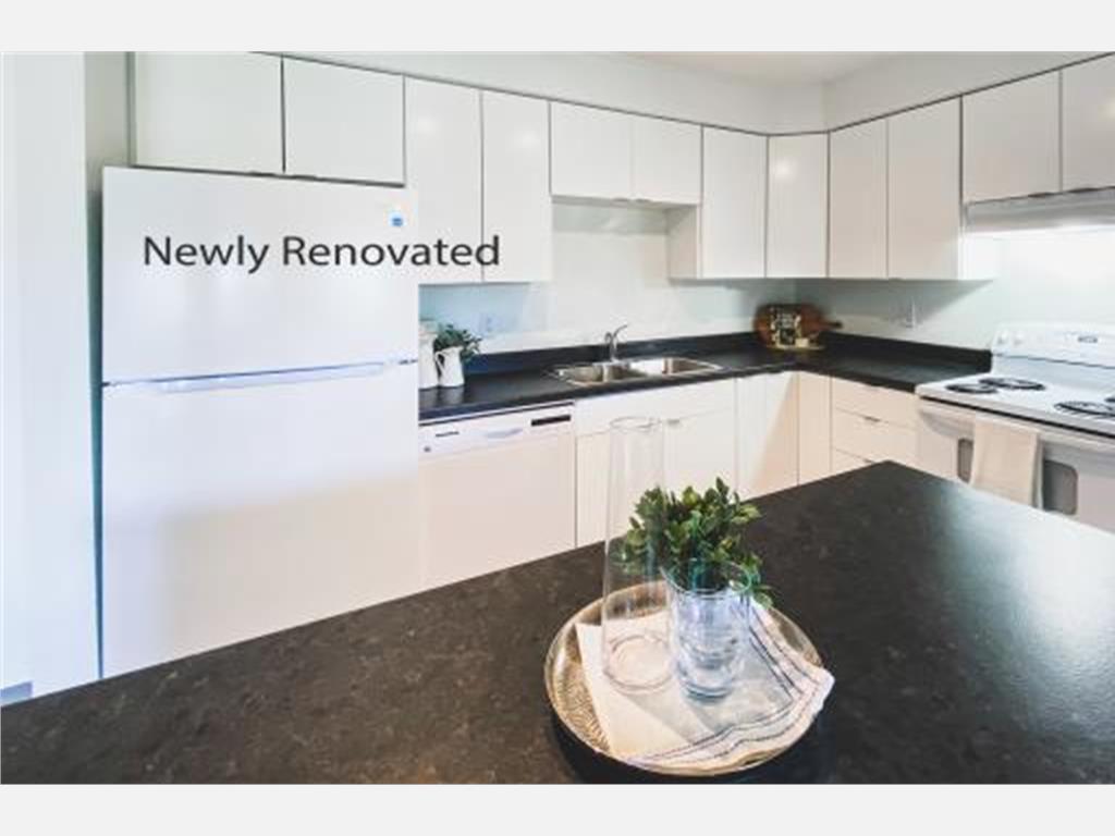 170 Torbay Road, St. John's Apartment for Rent