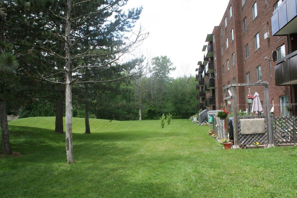 255 & 265 willson rd., welland Apartment for Rent