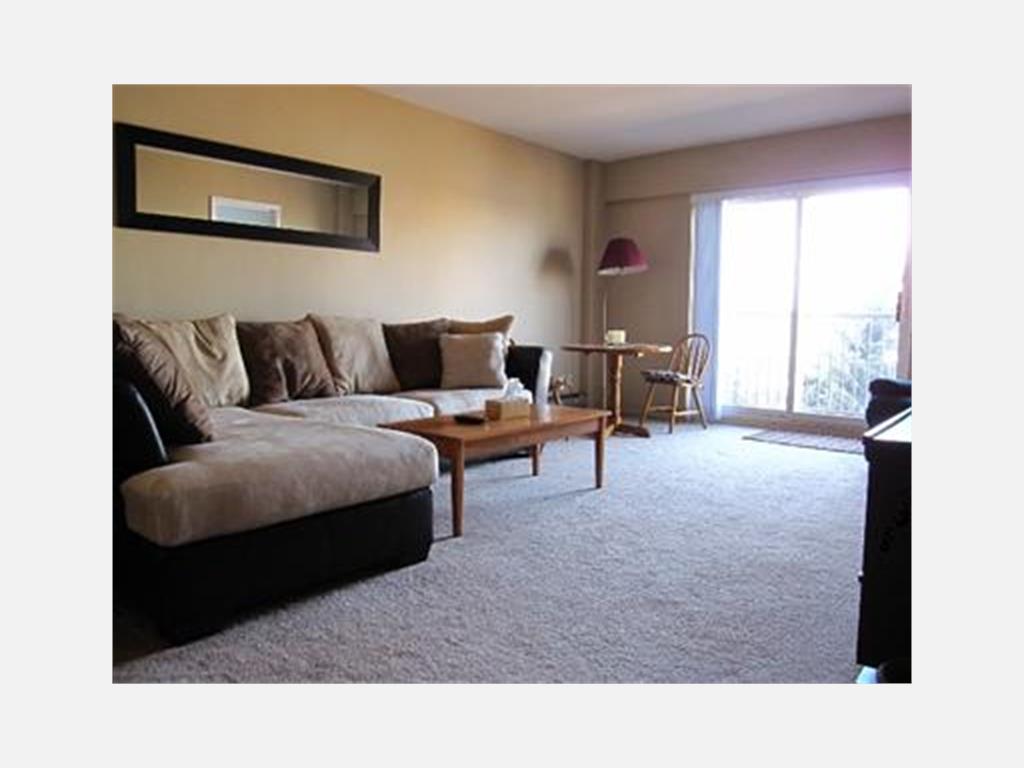 Bedroom Apartments For Rent In Windsor Ontario Bedroom Apartments For Rent In Windsor Ontario
