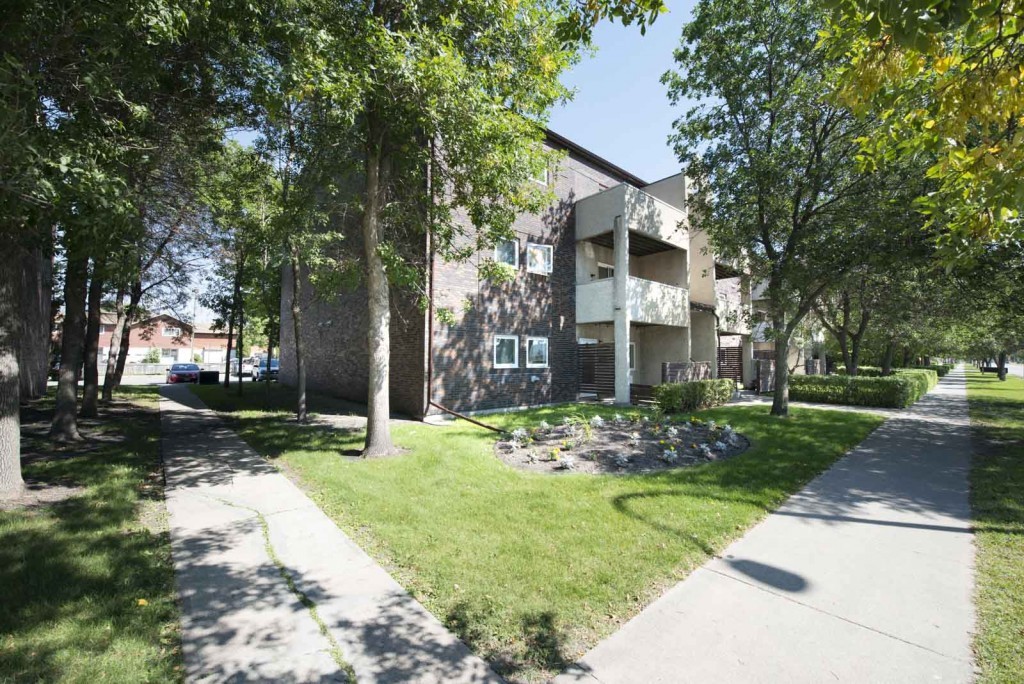 Basement Apartment For Rent Winnipeg Basement Apartment For Rent Winnipeg