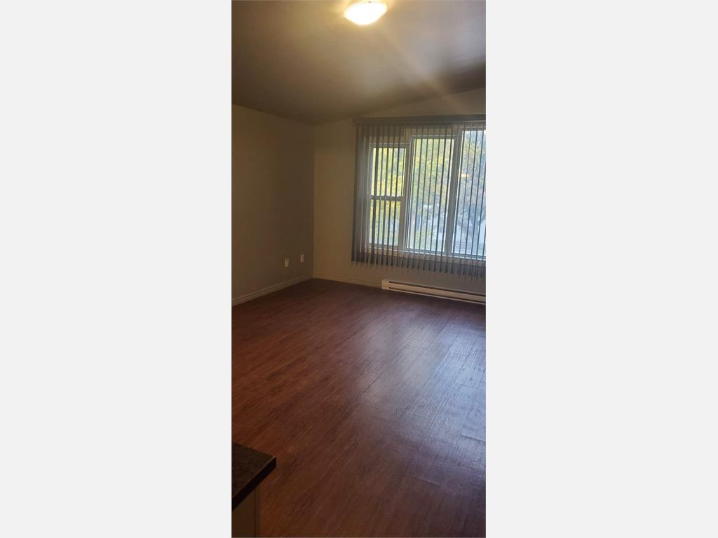 441 Marion Street, Winnipeg House for Rent