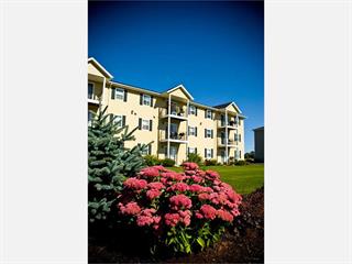 Photo of rental Apartment for Rent