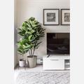 Rental Photo