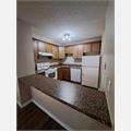 Rental Photo