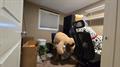 Rental Photo