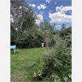 Rental Photo