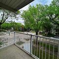 Rental Photo