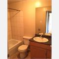 Rental Photo