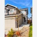 Rental Photo