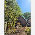 Rental Photo