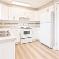 Rental Photo