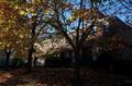 Rental Photo