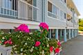 Rental Photo