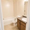 Rental Photo