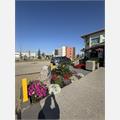 Rental Photo