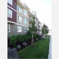 Rental Photo