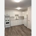 Rental Photo
