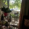 Rental Photo