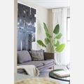 Rental Photo