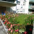 Rental Photo