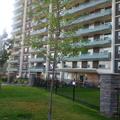 Rental Photo