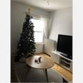 Rental Photo