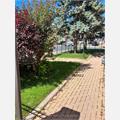 Rental Photo