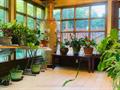 Rental Photo