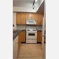 Rental Photo