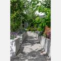 Rental Photo