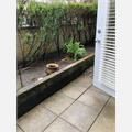 Rental Photo