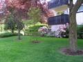 Rental Photo